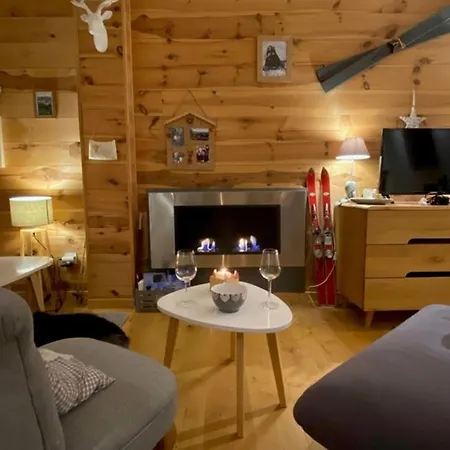 Confortable T2 Avec Local A Skis, Proche Des Pistes - Fr-1-787-107