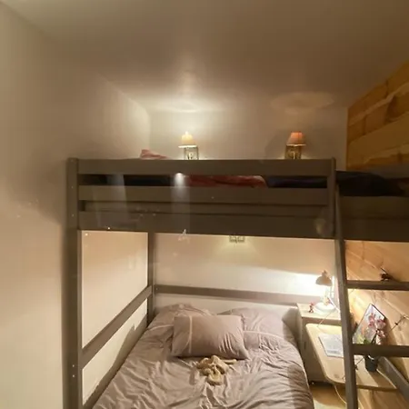 Appartement Confortable T2 Avec Local A Skis, Proche Des Pistes - Fr-1-787-107